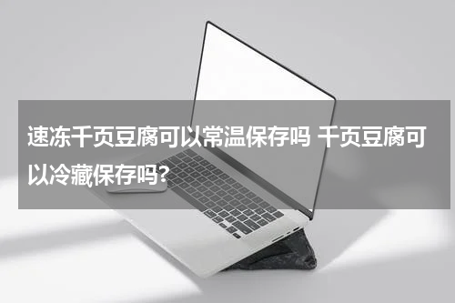 速冻千页豆腐可以常温保存吗 千页豆腐可以冷藏保存吗?