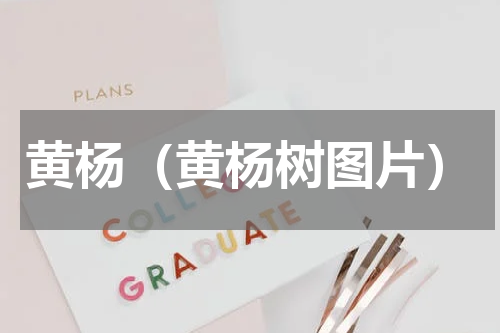 黄杨（黄杨树图片）