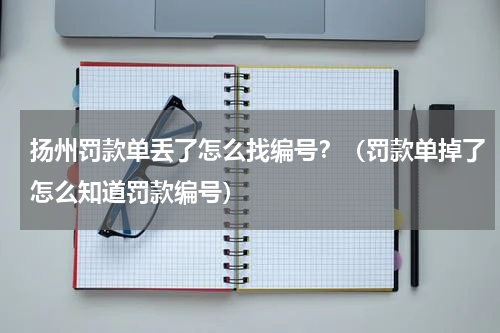 扬州罚款单丢了怎么找编号？（罚款单掉了怎么知道罚款编号）