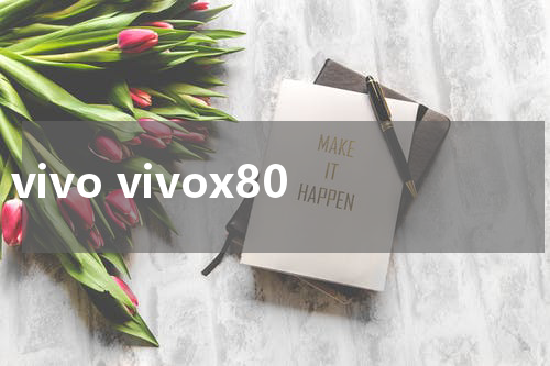 vivo vivox80