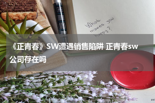 《正青春》SW遭遇销售陷阱 正青春sw公司存在吗