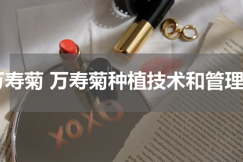 万寿菊 万寿菊种植技术和管理