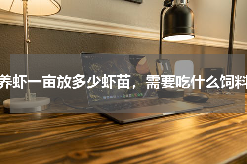养虾一亩放多少虾苗，需要吃什么饲料