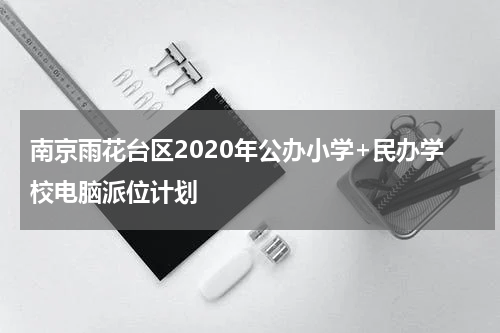 南京雨花台区2020年公办小学+民办学校电脑派位计划