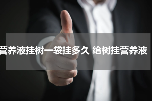 营养液挂树一袋挂多久 给树挂营养液