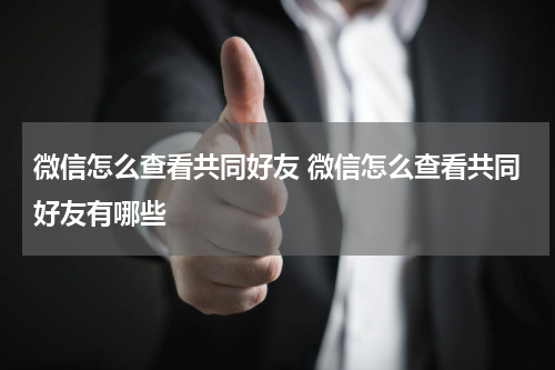 微信怎么查看共同好友 微信怎么查看共同好友有哪些