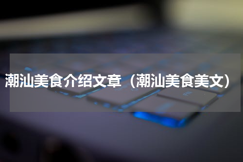 潮汕美食介绍文章（潮汕美食美文）