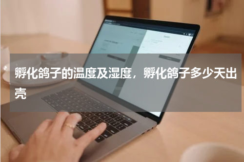 孵化鸽子的温度及湿度，孵化鸽子多少天出壳