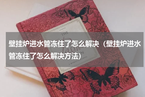 壁挂炉进水管冻住了怎么解决（壁挂炉进水管冻住了怎么解决方法）