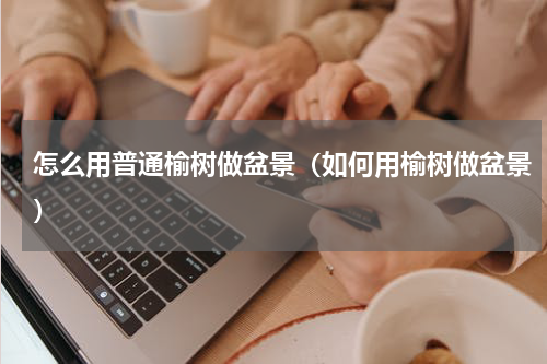 怎么用普通榆树做盆景（如何用榆树做盆景）