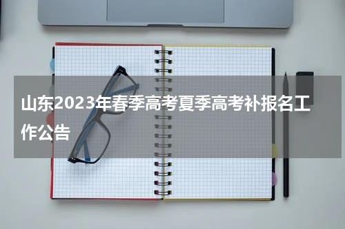 山东2023年春季高考夏季高考补报名工作公告