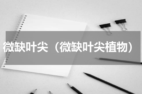微缺叶尖（微缺叶尖植物）