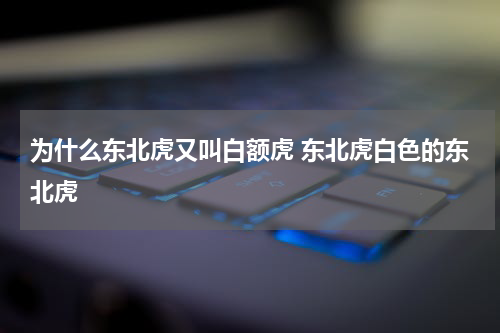 为什么东北虎又叫白额虎 东北虎白色的东北虎
