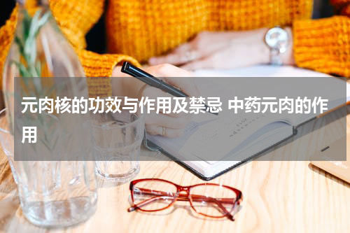 元肉核的功效与作用及禁忌 中药元肉的作用