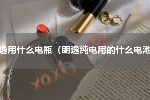 朗逸用什么电瓶（朗逸纯电用的什么电池）