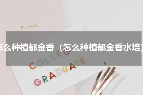 怎么种植郁金香（怎么种植郁金香水培）