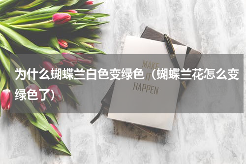 为什么蝴蝶兰白色变绿色（蝴蝶兰花怎么变绿色了）