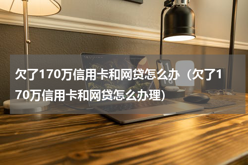 欠了170万信用卡和网贷怎么办（欠了170万信用卡和网贷怎么办理）