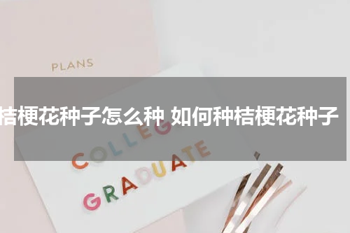 桔梗花种子怎么种 如何种桔梗花种子