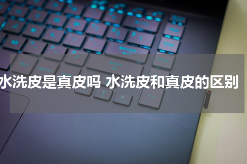 水洗皮是真皮吗 水洗皮和真皮的区别