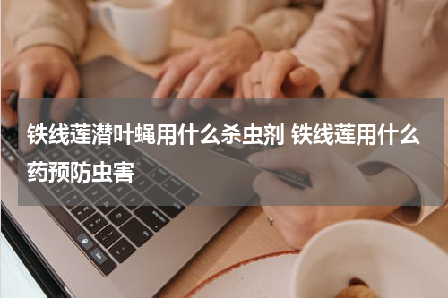 铁线莲潜叶蝇用什么杀虫剂 铁线莲用什么药预防虫害