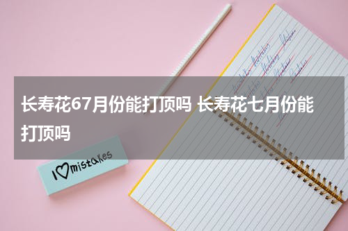 长寿花67月份能打顶吗 长寿花七月份能打顶吗