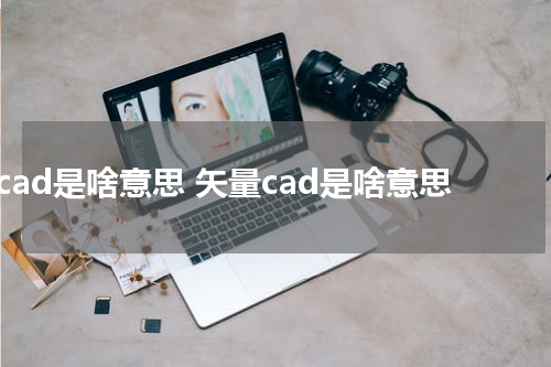 cad是啥意思 矢量cad是啥意思