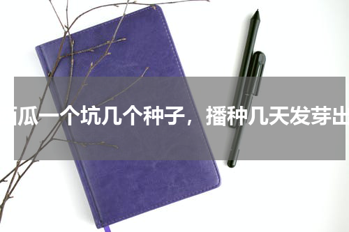 种西瓜一个坑几个种子，播种几天发芽出土