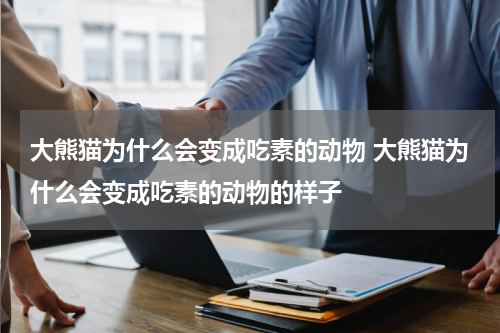 大熊猫为什么会变成吃素的动物 大熊猫为什么会变成吃素的动物的样子