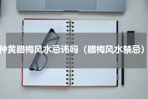 种黄腊梅风水忌讳吗（腊梅风水禁忌）
