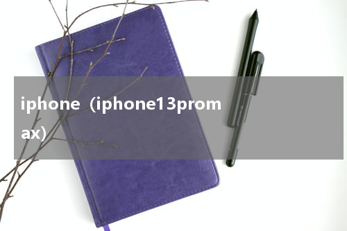 iphone（iphone13promax）