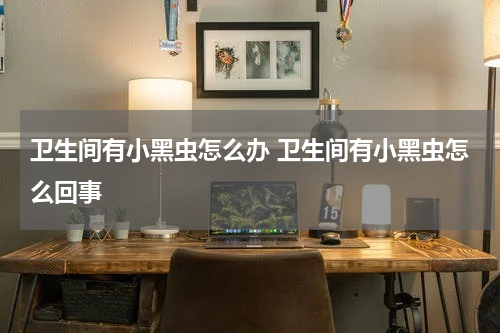 卫生间有小黑虫怎么办 卫生间有小黑虫怎么回事