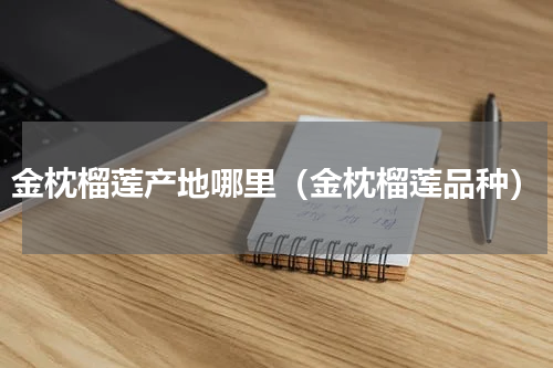 金枕榴莲产地哪里（金枕榴莲品种）