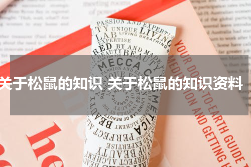 关于松鼠的知识 关于松鼠的知识资料