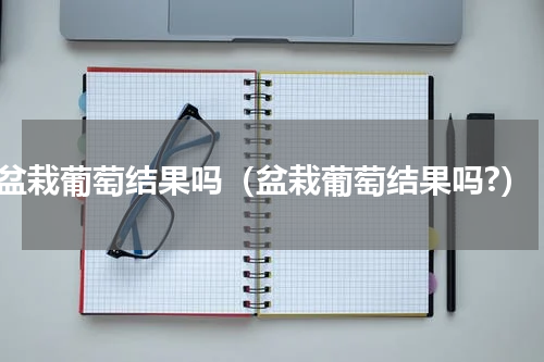 盆栽葡萄结果吗（盆栽葡萄结果吗?）