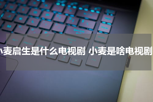 小麦启生是什么电视剧 小麦是啥电视剧