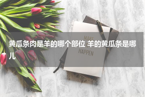 黄瓜条肉是羊的哪个部位 羊的黄瓜条是哪儿