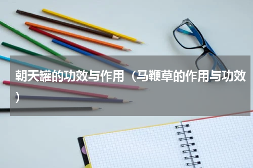 朝天罐的功效与作用（马鞭草的作用与功效）