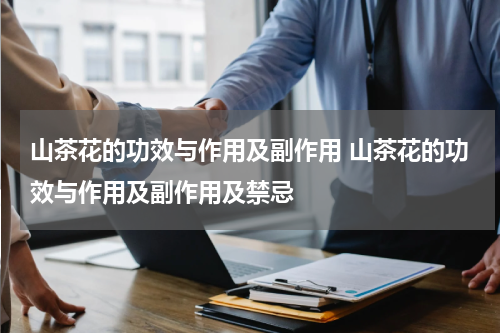 山茶花的功效与作用及副作用 山茶花的功效与作用及副作用及禁忌