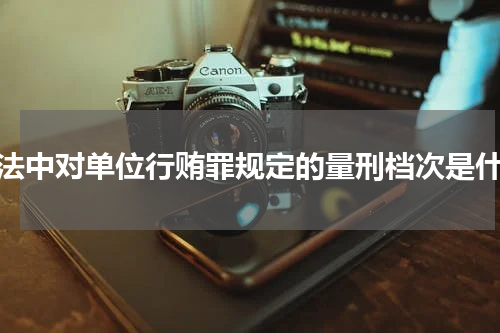 刑法中对单位行贿罪规定的量刑档次是什么