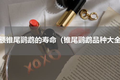 桃额锥尾鹦鹉的寿命（锥尾鹦鹉品种大全）