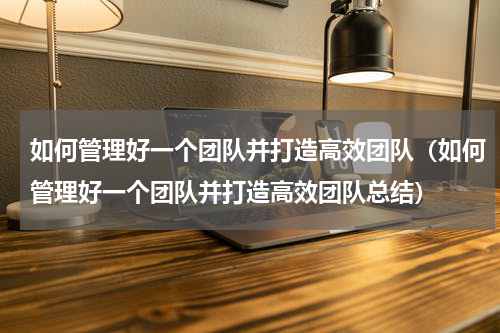 如何管理好一个团队并打造高效团队（如何管理好一个团队并打造高效团队总结）