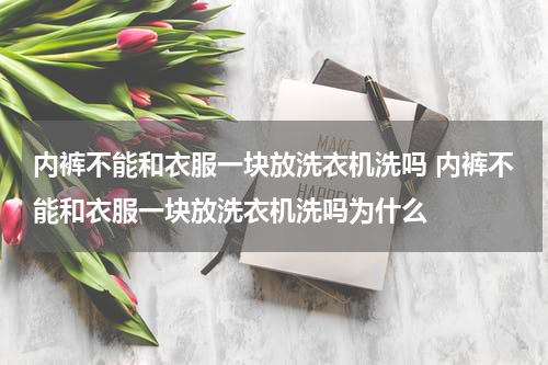 内裤不能和衣服一块放洗衣机洗吗 内裤不能和衣服一块放洗衣机洗吗为什么