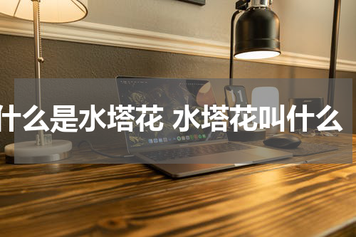 什么是水塔花 水塔花叫什么