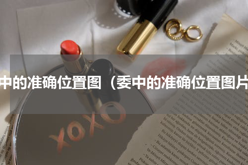 委中的准确位置图（委中的准确位置图片）