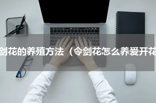 令剑花的养殖方法（令剑花怎么养爱开花）