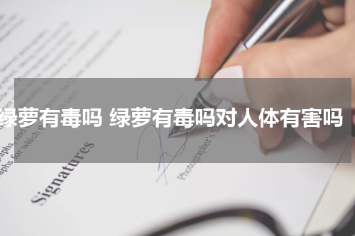 绿萝有毒吗 绿萝有毒吗对人体有害吗