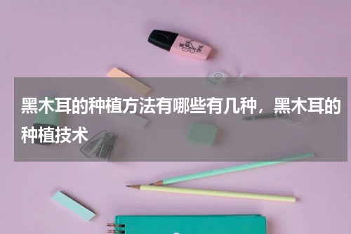 黑木耳的种植方法有哪些有几种，黑木耳的种植技术