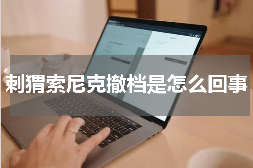 刺猬索尼克撤档是怎么回事