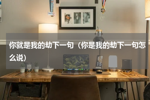 你就是我的劫下一句（你是我的劫下一句怎么说）